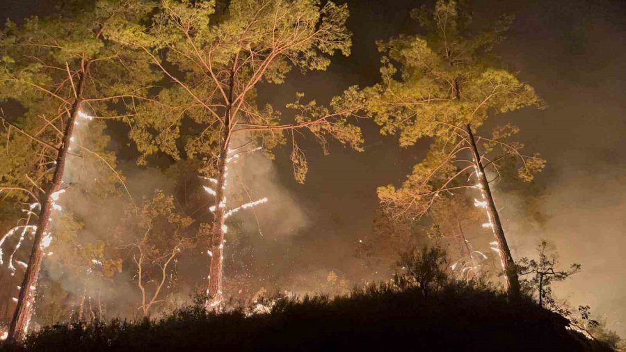 Alanya’da Ormanlık Alandaki Yangın