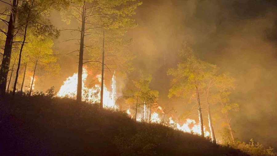 Alanya’da Ormanlık Alandaki Yangın