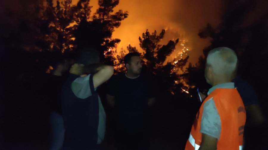 Alanya’da Ormanlık Alandaki Yangın
