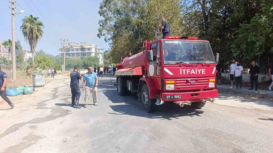 Villaları Tehdit Eden Yangına İlk Müdahale Otel Personeli Ve Müşterinden Geldi