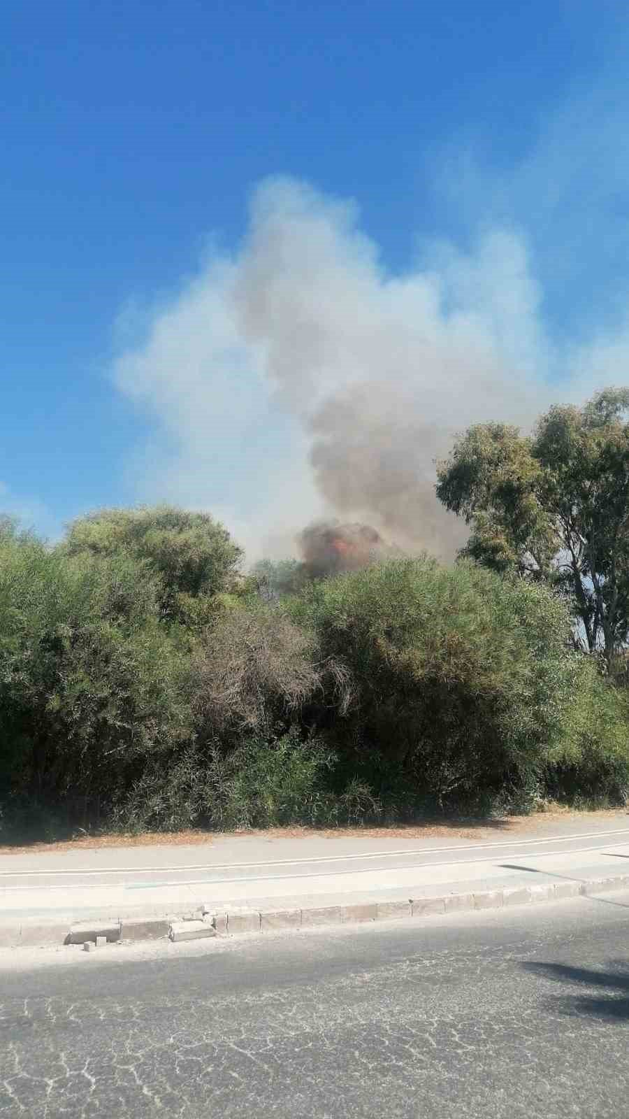 Villaları Tehdit Eden Yangına İlk Müdahale Otel Personeli Ve Müşterinden Geldi