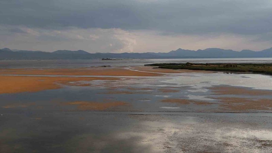 Beyşehirli Balıkçılar Göl İçin Endişeli, Göl Kenarında Toplanıp Kurban Kestiler