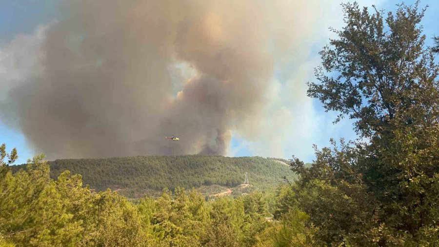 Alanya’da Ormanlık Alanda Yangın