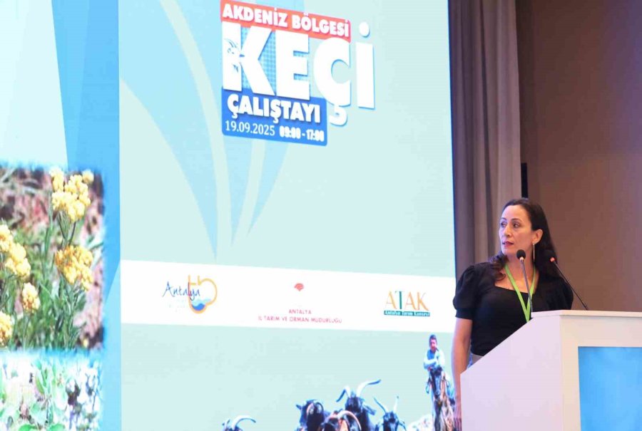 Büyükşehir’in ‘çoban Haritası Projesi’ İlgi Gördü