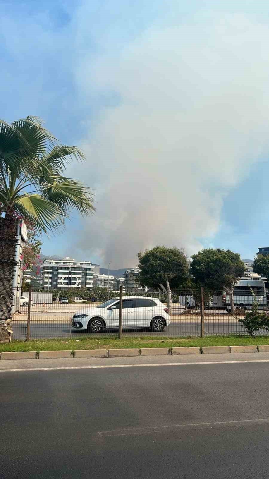 Alanya’da Ormanlık Alanda Yangın