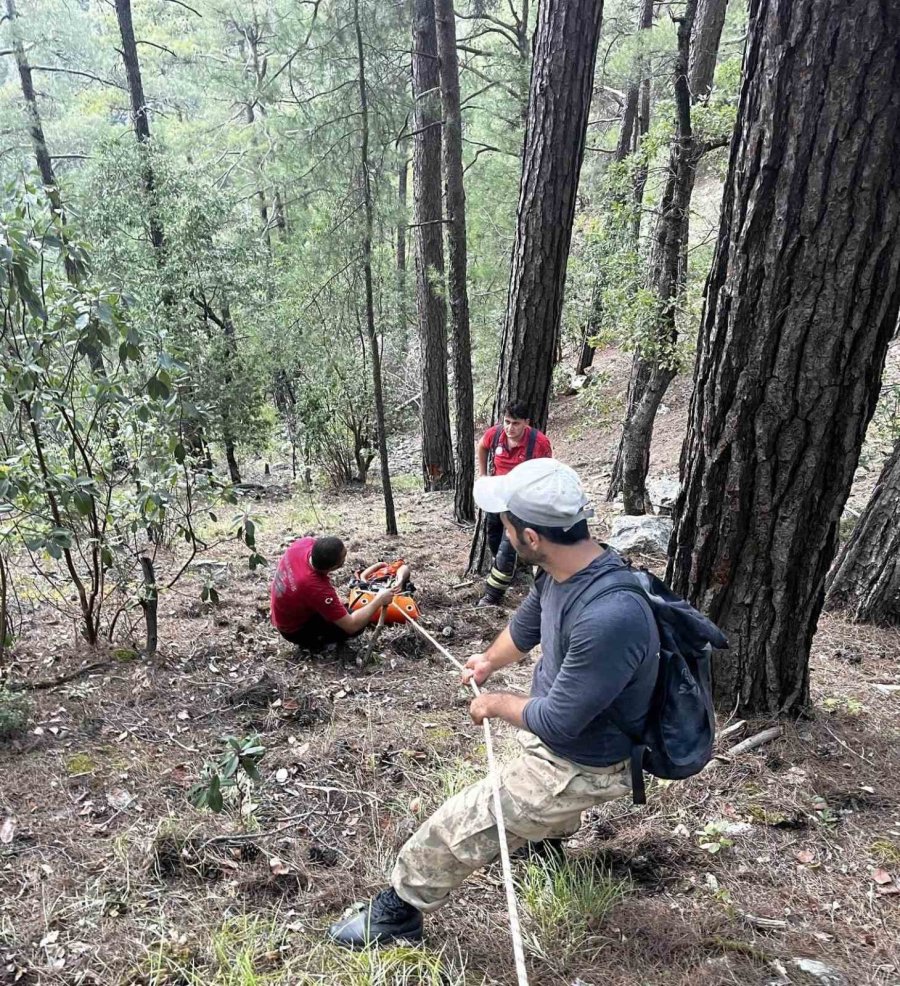 Kayalıklardan Düşerek Yaralanan Şahıs 4 Saatlik Operasyonla Kurtarıldı