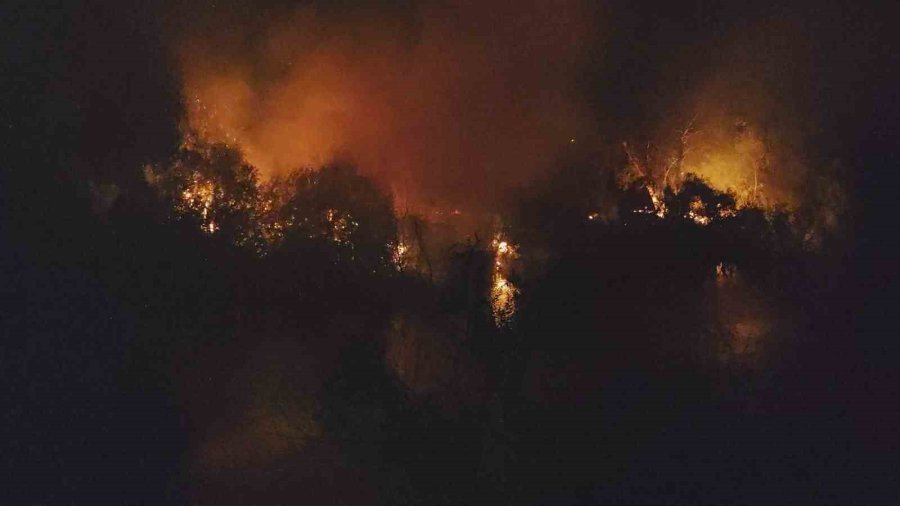 Manavgat’ta Irmak Kenarındaki Yangın Korkuttu