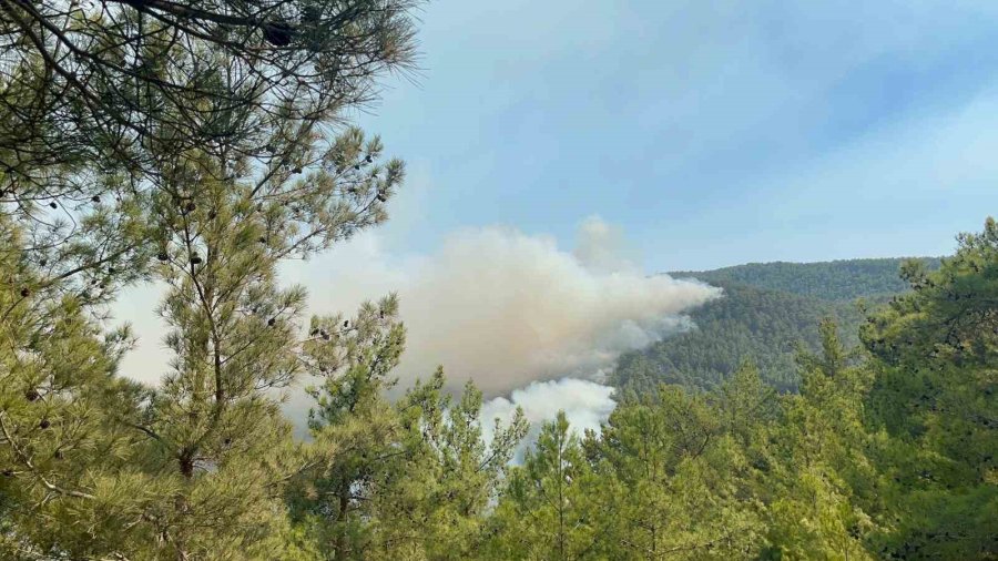 Alanya’da Ormanlık Alan Yangınları Kontrol Altına Alınmaya Çalışılıyor