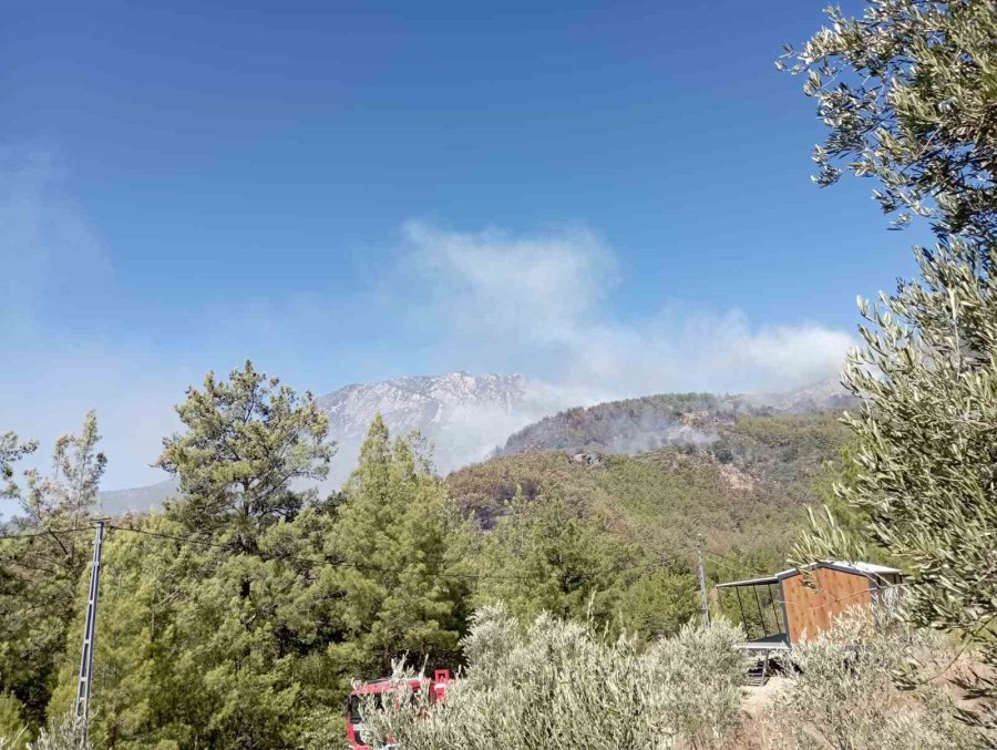 Alanya’da Ormanlık Alan Yangınları Kontrol Altına Alınmaya Çalışılıyor