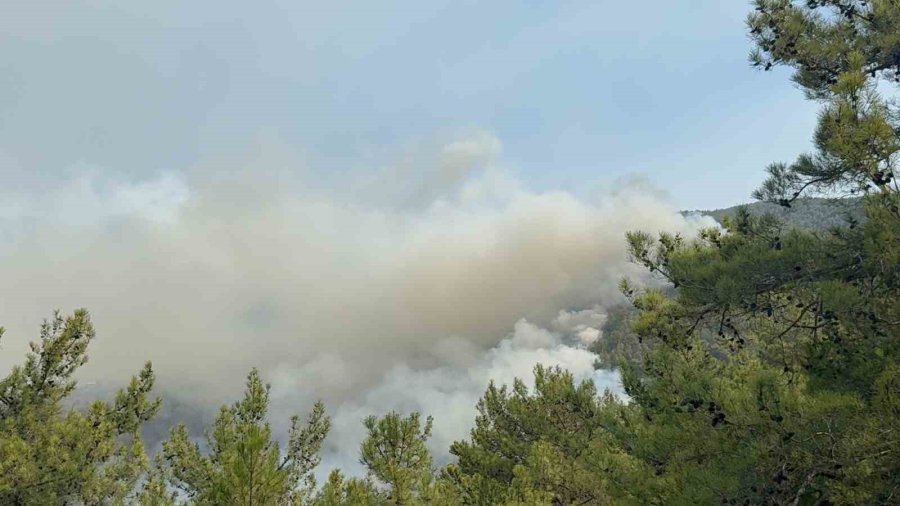 Alanya’da Ormanlık Alan Yangınları Kontrol Altına Alınmaya Çalışılıyor