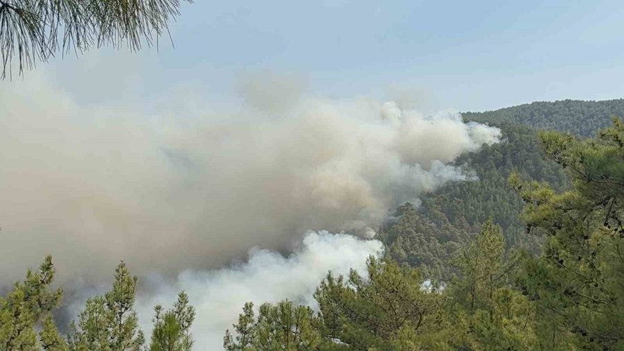 Alanya’da Ormanlık Alan Yangınları Kontrol Altına Alınmaya Çalışılıyor