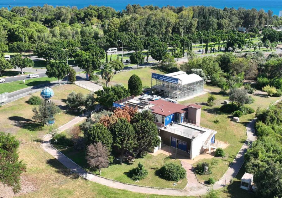 Alzheimer Hastaları Mavi Ev’de Huzur Buluyor