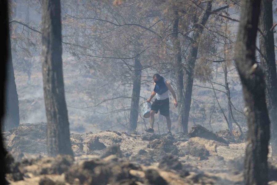 Antalya’da Ormanlık Alandaki Yangın Büyümeden Söndürüldü: Kova Ve Küreklerle Müdahale Ettiler