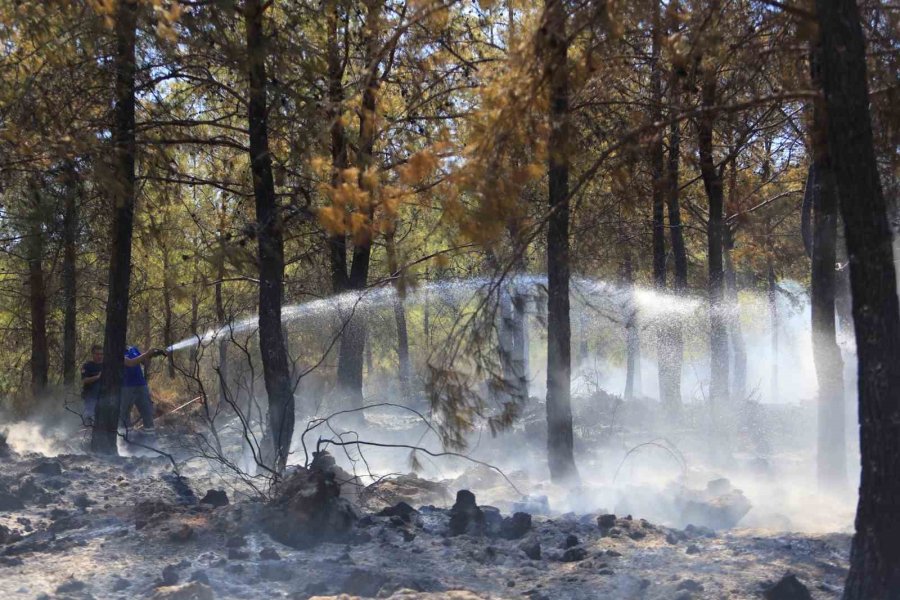 Antalya’da Ormanlık Alandaki Yangın Büyümeden Söndürüldü: Kova Ve Küreklerle Müdahale Ettiler