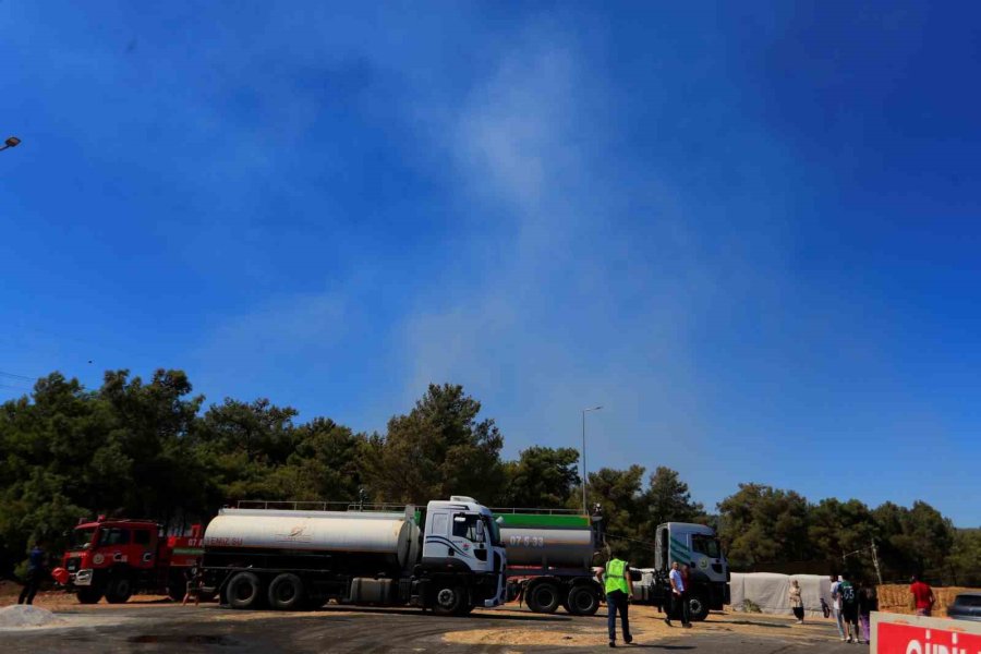 Antalya’da Ormanlık Alandaki Yangın Büyümeden Söndürüldü: Kova Ve Küreklerle Müdahale Ettiler