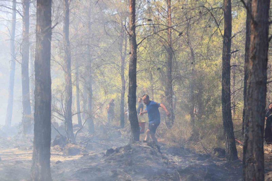 Antalya’da Ormanlık Alandaki Yangın Büyümeden Söndürüldü: Kova Ve Küreklerle Müdahale Ettiler