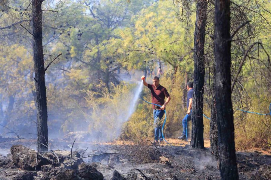 Antalya’da Ormanlık Alandaki Yangın Büyümeden Söndürüldü: Kova Ve Küreklerle Müdahale Ettiler