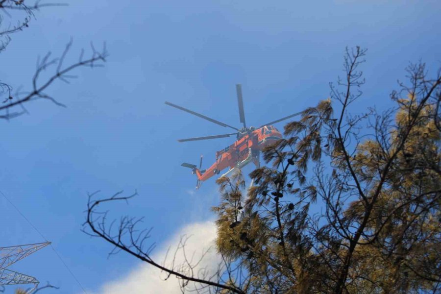 Antalya’da Ormanlık Alandaki Yangın Büyümeden Söndürüldü: Kova Ve Küreklerle Müdahale Ettiler