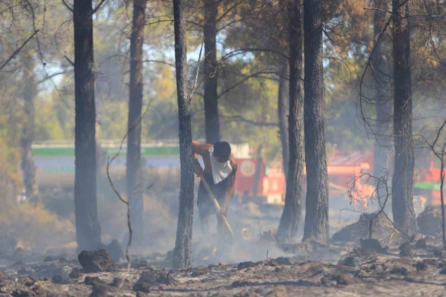 Antalya’da Ormanlık Alandaki Yangın Büyümeden Söndürüldü: Kova Ve Küreklerle Müdahale Ettiler
