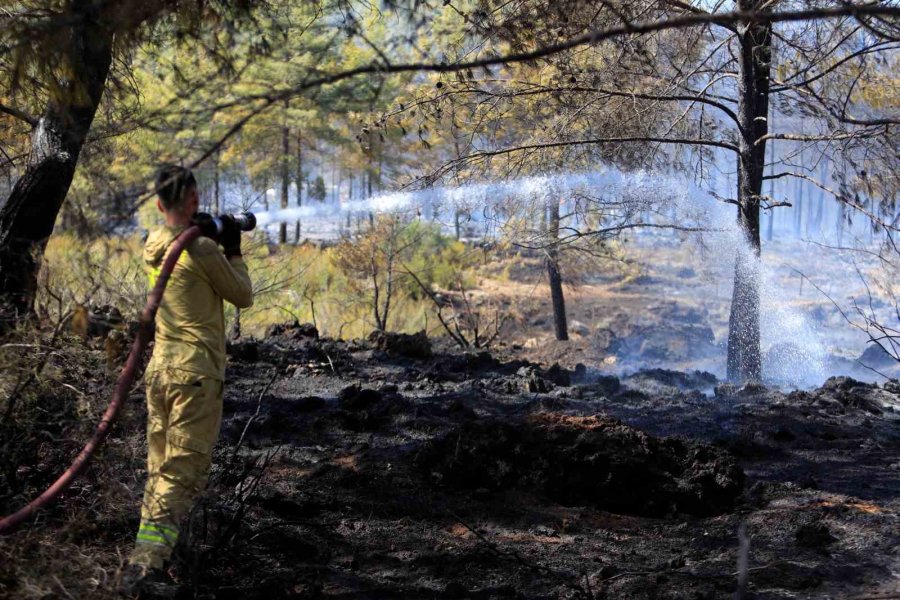 Antalya’da Ormanlık Alandaki Yangın Büyümeden Söndürüldü: Kova Ve Küreklerle Müdahale Ettiler