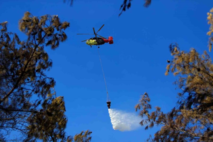 Antalya’da Ormanlık Alandaki Yangın Büyümeden Söndürüldü: Kova Ve Küreklerle Müdahale Ettiler
