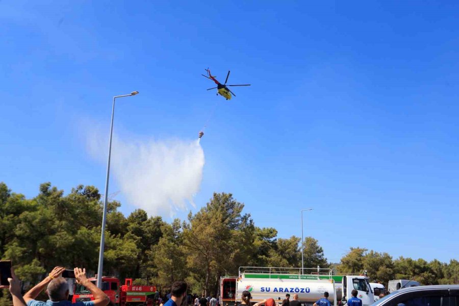 Antalya’da Ormanlık Alandaki Yangın Büyümeden Söndürüldü: Kova Ve Küreklerle Müdahale Ettiler