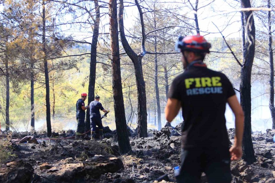Antalya’da Ormanlık Alandaki Yangın Büyümeden Söndürüldü: Kova Ve Küreklerle Müdahale Ettiler