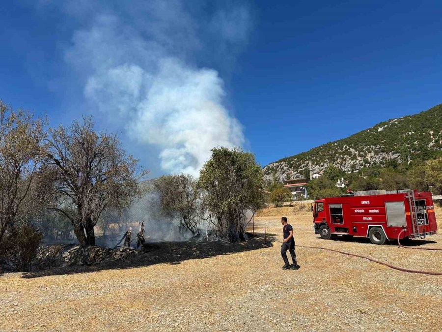 Akseki’de Otluk Yangın Büyümeden Söndürüldü