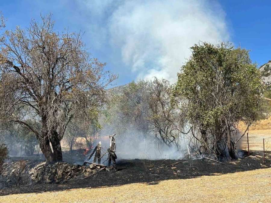 Akseki’de Otluk Yangın Büyümeden Söndürüldü