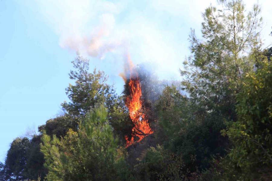 Aksu’daki Yangın Kontrol Altına Alındı