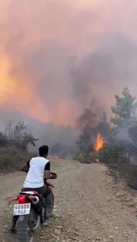 Antalya’daki Yangınlarda Motokuryelerden Ücretsiz Lojistik Destek