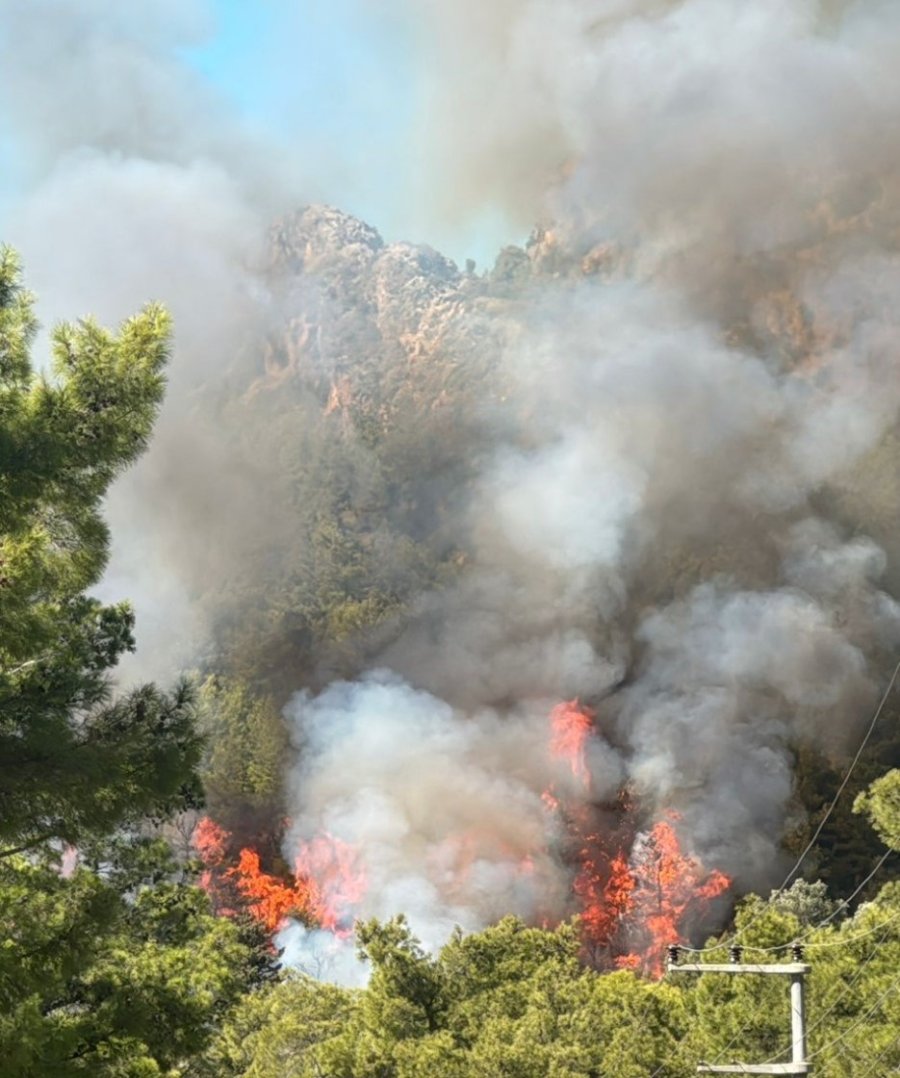 Serik’te Orman Yangınının Enerjisi Düşürüldü