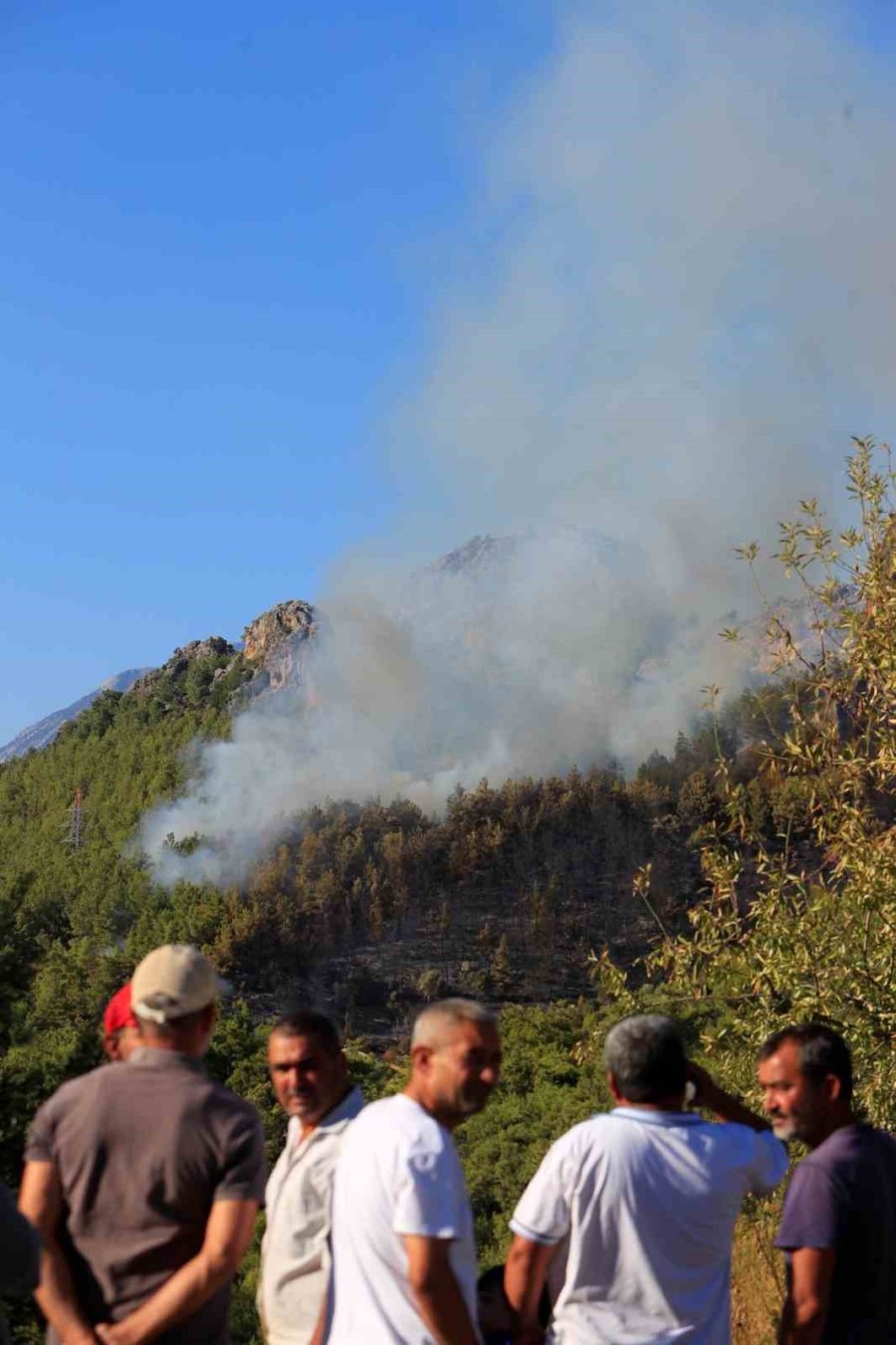 Serik’te Orman Yangınının Enerjisi Düşürüldü