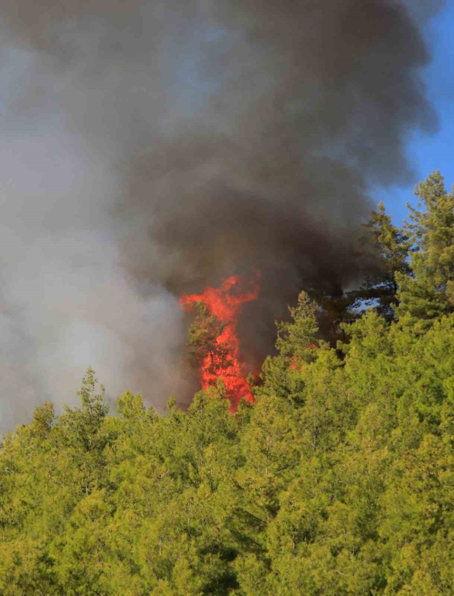 Serik’te Orman Yangınının Enerjisi Düşürüldü