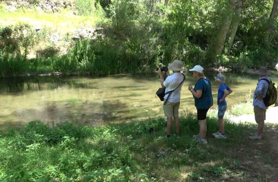 Dünyanın En Büyük 2. Kanyon Vadisi Ziyaretçilerini Ağırlıyor