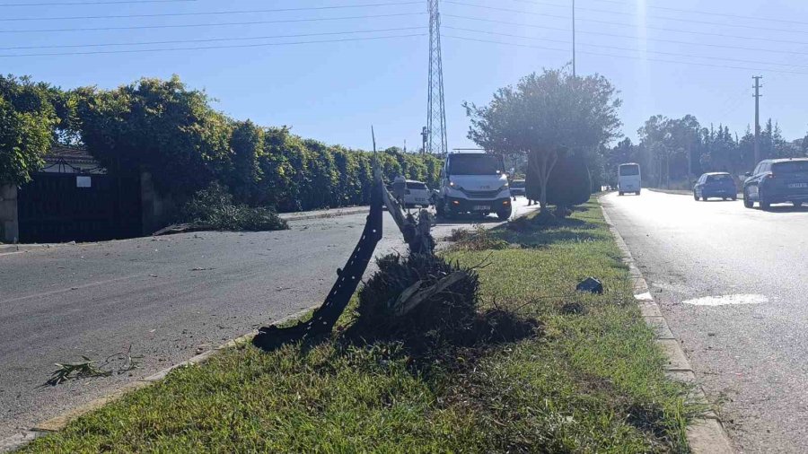 Refüjdeki Ağacı Deviren Otomobil Duvara Çarparak Durabildi: 1 Yaralı