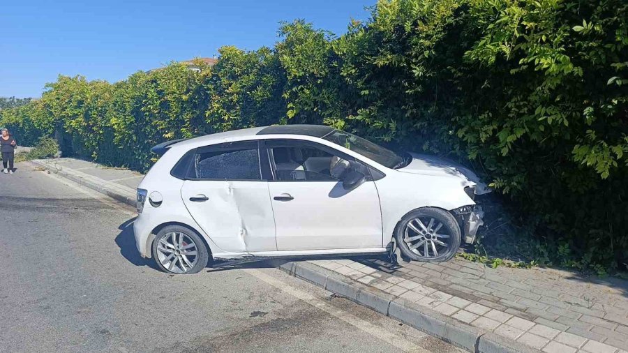 Refüjdeki Ağacı Deviren Otomobil Duvara Çarparak Durabildi: 1 Yaralı