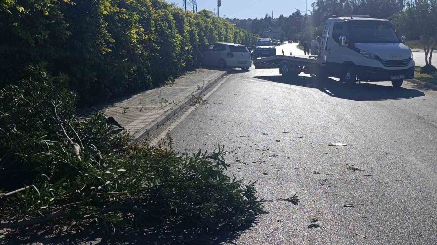 Refüjdeki Ağacı Deviren Otomobil Duvara Çarparak Durabildi: 1 Yaralı