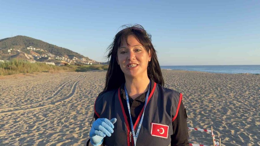 Kum Zambaklarını Koparanın Cezası: 557 Bin Tl