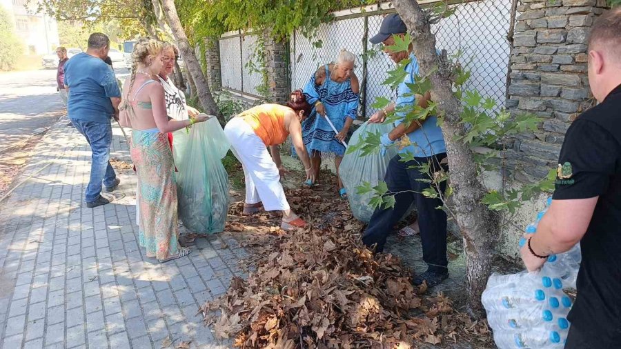 Turistler Yangın Sonrası Otel Çevresindeki Kurumuş Ot Ve Yaprakları Temizledi
