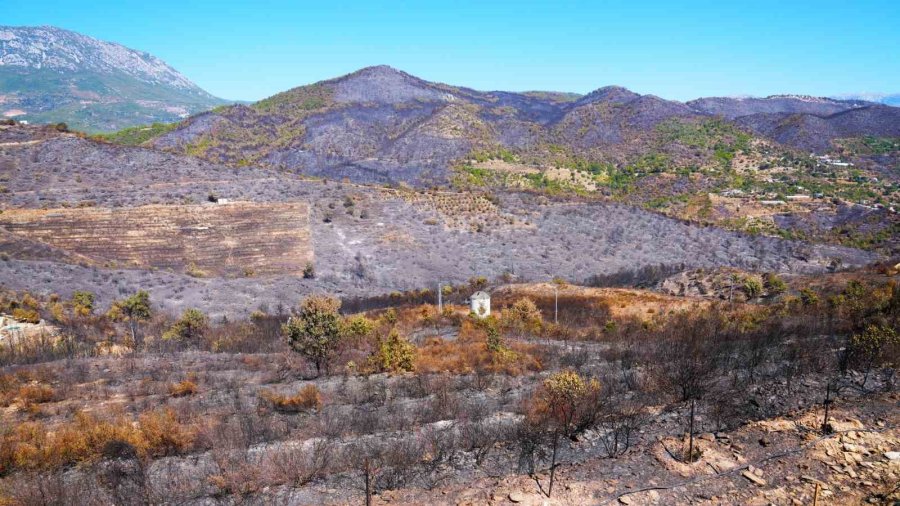 Alanya Belediye Başkanı Özçelik: ‘’yangınlara Karşı Yeşil Bant Uygulaması Başlatıyoruz’’