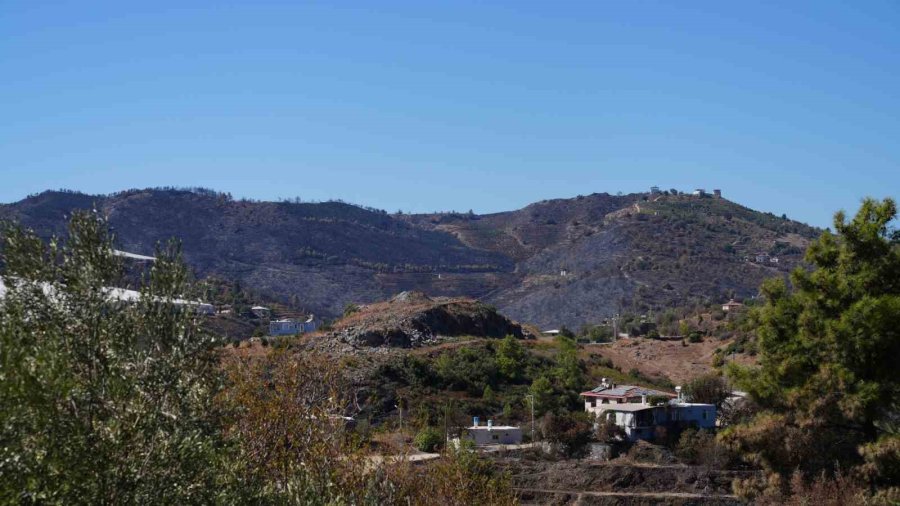 Alanya Belediye Başkanı Özçelik: ‘’yangınlara Karşı Yeşil Bant Uygulaması Başlatıyoruz’’