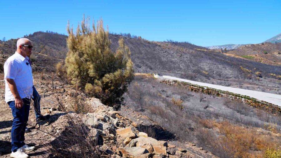 Alanya Belediye Başkanı Özçelik: ‘’yangınlara Karşı Yeşil Bant Uygulaması Başlatıyoruz’’