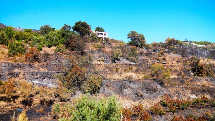 Alanya Belediye Başkanı Özçelik: ‘’yangınlara Karşı Yeşil Bant Uygulaması Başlatıyoruz’’