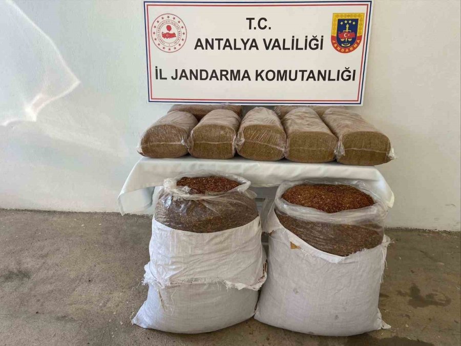 Gazipaşa’da 250 Kilo Kaçak Tütün Ve 420 Paket Kaçak Sigara Ele Geçirildi