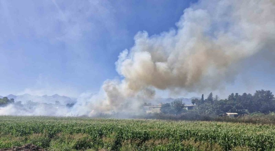 Antalya’da Kargılık Alanda Yangın