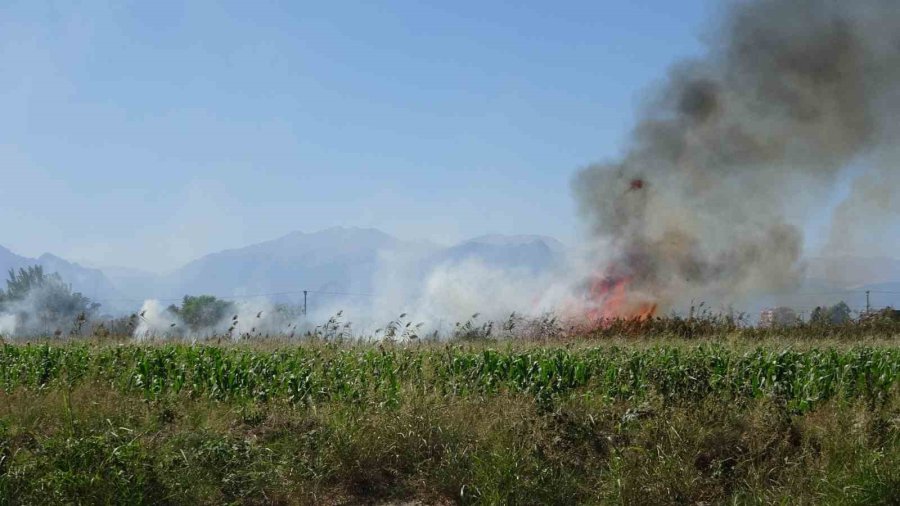 Antalya’da Kargılık Alanda Yangın