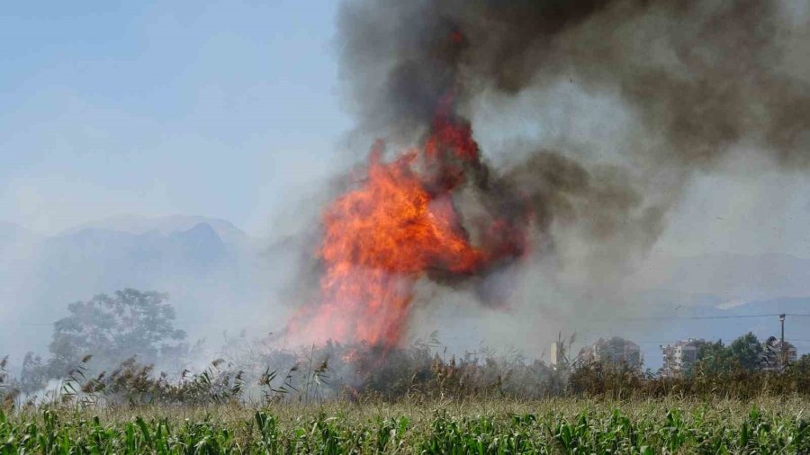 Antalya’da Kargılık Alanda Yangın