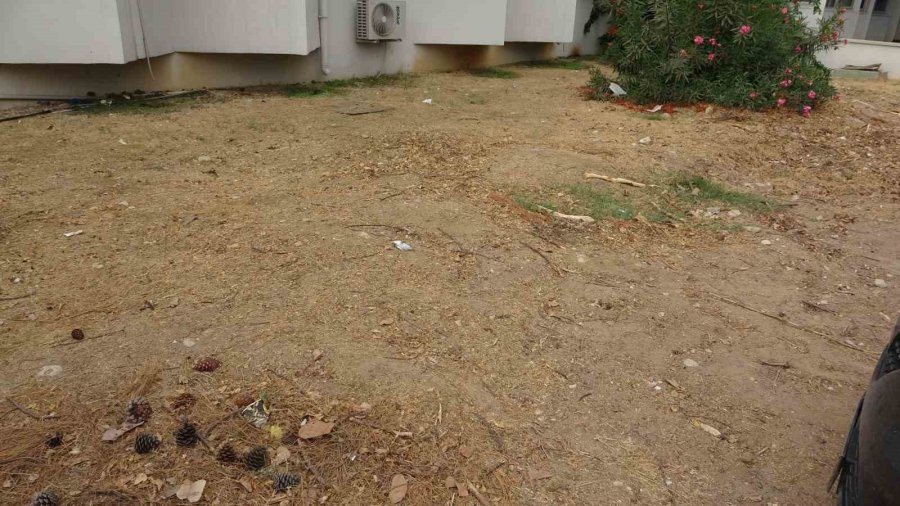 Yaklaşık 16 Metre: 4 Yıl Önce Gömülen ’balina’nın İskeleti Bilimsel Kazıyla Çıkarılacak