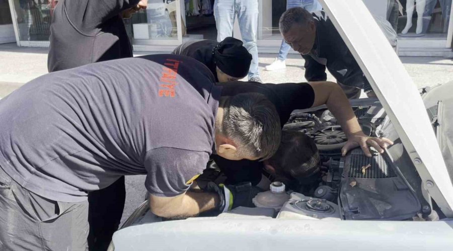 Polis Ve İtfaiyenin Kedi Kurtarma Operasyonu